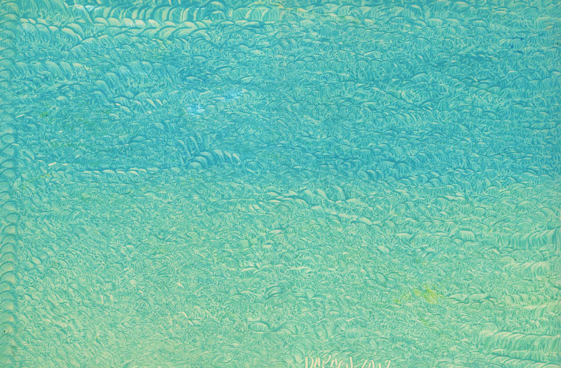  Painting Art Gallery